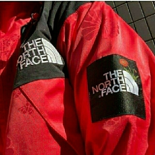 Mサイズ The North Face Nordstrom マウンテンジャケット