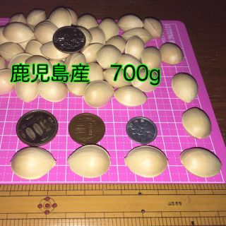 ぎんなん　鹿児島産　700g 農薬不使用(野菜)