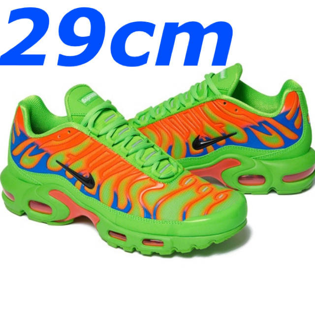 Supreme Nike Air Max Plus green 29  緑