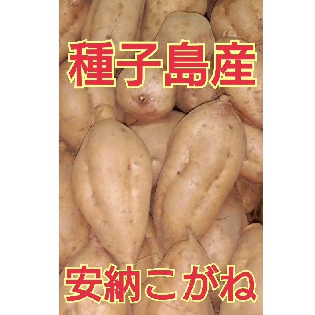 種子島産安納芋(安納こがね)５キロSサイズ 食品/飲料/酒の食品(野菜)の商品写真