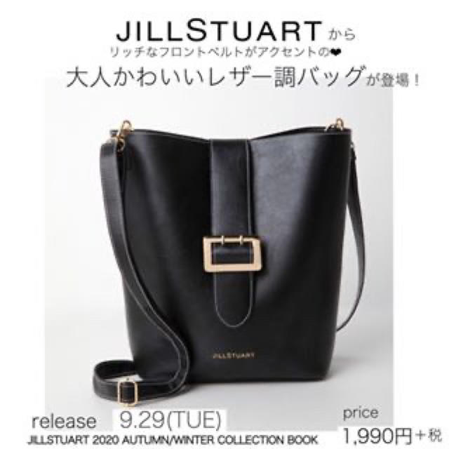 JILLSTUART(ジルスチュアート)の早い者勝ち❤️❤️JILLSTUART コレクションブック❤️レザーバッグ❤️ レディースのバッグ(その他)の商品写真