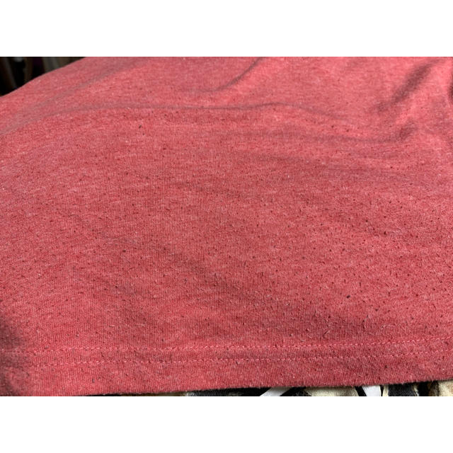 ワイリーコヨーテ　ロンT メンズのトップス(Tシャツ/カットソー(七分/長袖))の商品写真