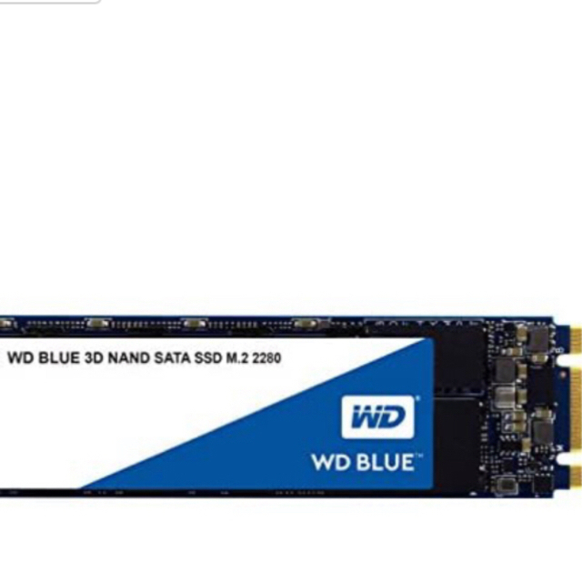 SSD WDS250G2BOB 250GB