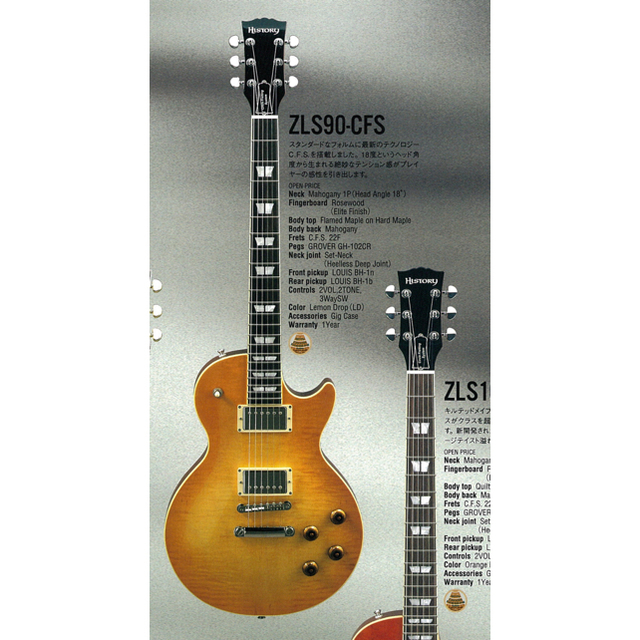 History ZLS90-CFS