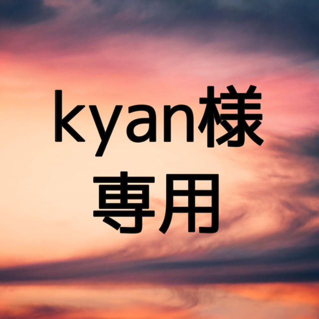 kyan様 専用 その他のその他(その他)の商品写真