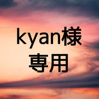 kyan様 専用(その他)