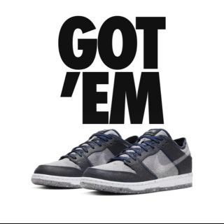 ナイキ(NIKE)のNIKE SB DUNK LOW PRO E DARK GREY 28.0cm(スニーカー)