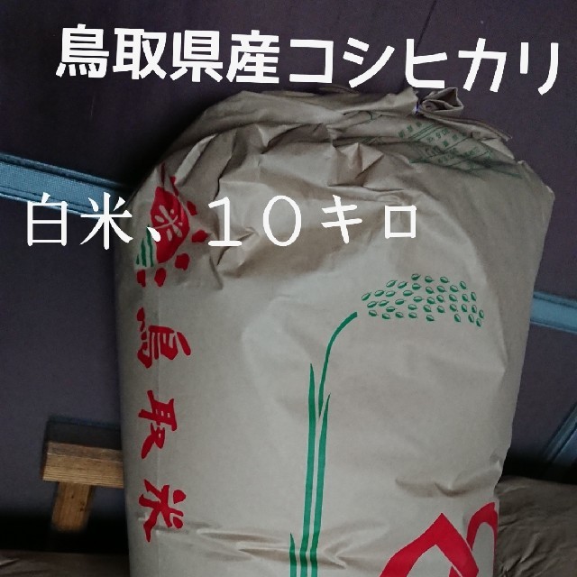 白米、１０キロ、令和２年鳥取県産、コシヒカリ 食品/飲料/酒の食品(米/穀物)の商品写真