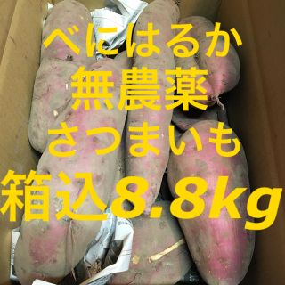 さつまいも　紅はるか　箱込み8.8kg(野菜)