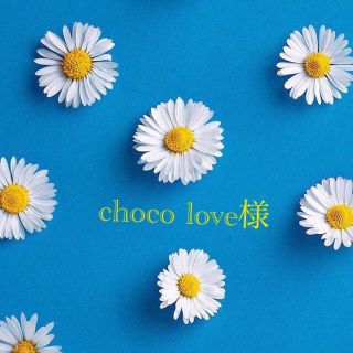 choco love様　専用(その他)