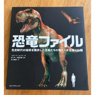 恐竜ファイル　144ページの恐竜の図鑑です。送料込み(文学/小説)