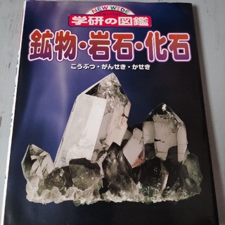 学研　図鑑　鉱物　岩石　化石(科学/技術)