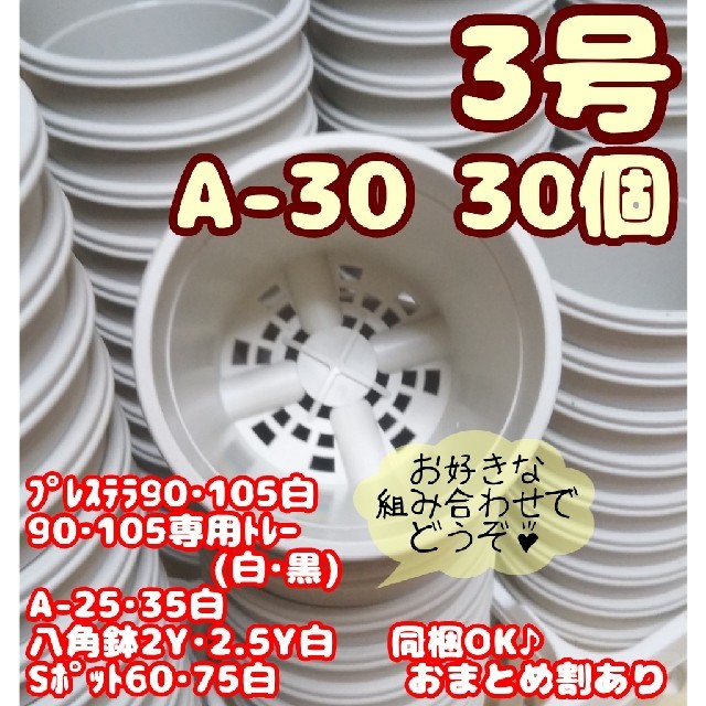 プラ鉢3号【A-30】30個 スリット鉢 丸 プレステラ 多肉植物 ハンドメイドのフラワー/ガーデン(プランター)の商品写真