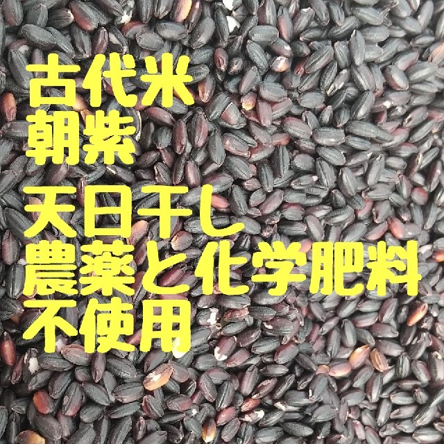古代米朝紫 食品/飲料/酒の食品(米/穀物)の商品写真