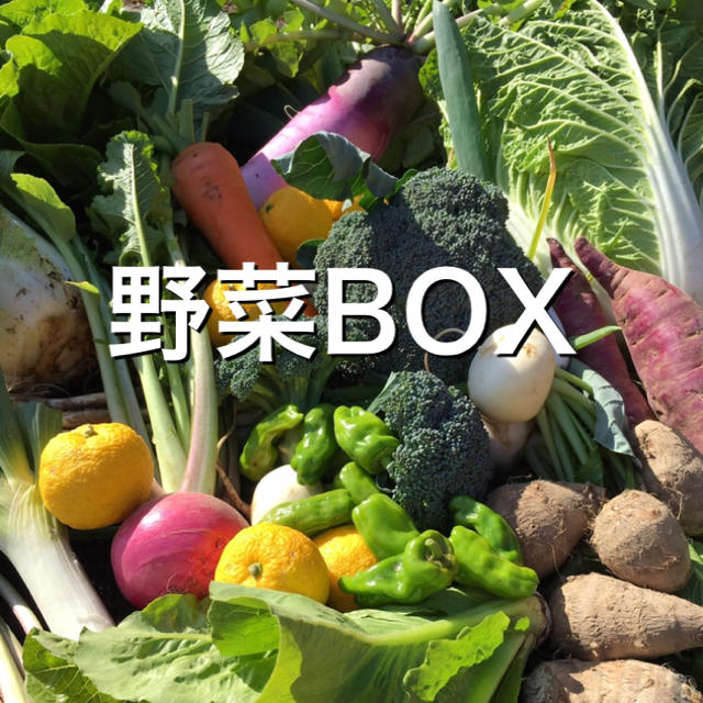 野菜BOX Lサイズ 食品/飲料/酒の食品(野菜)の商品写真