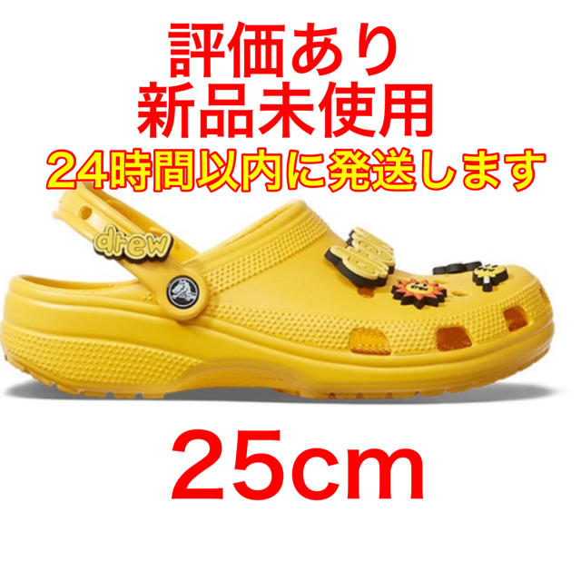 25cm crocs ジャスティンビーバー　drew クロックス　サンダル207267-700