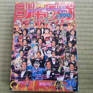週刊少年ジャンプ　1993年5-6号(漫画雑誌)