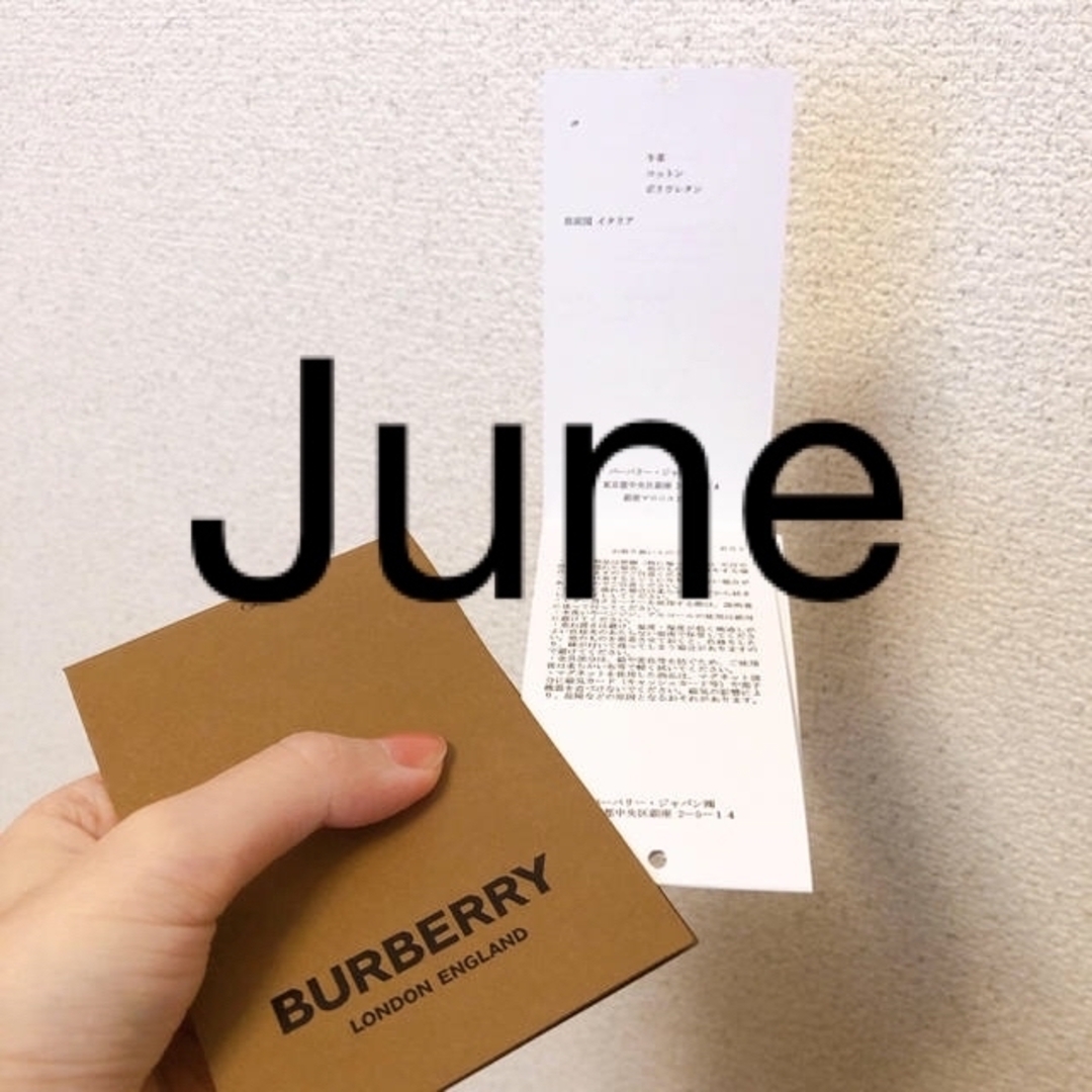 BURBERRY - バーバリー ミニ ツートン キャンバス＆レザー ポケット