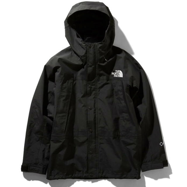 メンズTHE NORTH FACE マウンテンライトジャケット