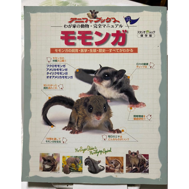 【中古】モモンガ モモンガの飼育・医学・エサ・生態・歴史すべてがわかる エンタメ/ホビーの本(住まい/暮らし/子育て)の商品写真