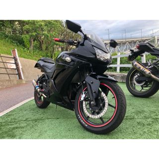 カワサキ(カワサキ)のhappy様専用　ninja250r(車体)