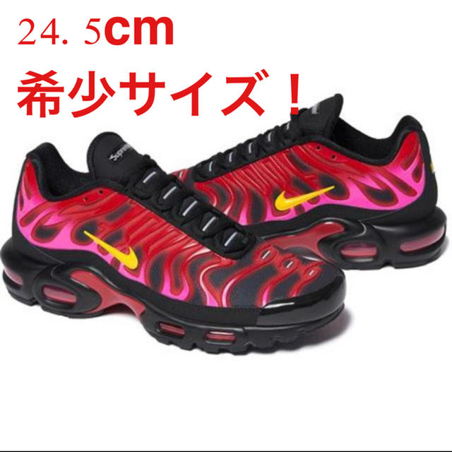 Supreme®/ Nike® Air Max Plus シュプリーム ナイキ