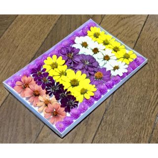 お花屋さんが作った千日紅とジニアの可愛いコラボレーションです    ⑩(ドライフラワー)