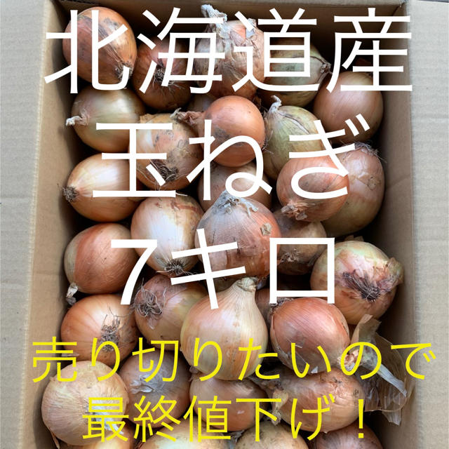 玉ねぎ　7キロ超え 食品/飲料/酒の食品(野菜)の商品写真