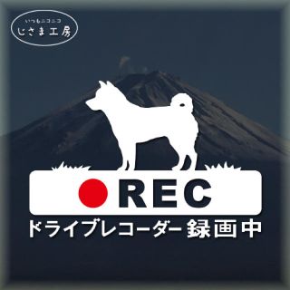 柴犬の白色ステッカー煽り運転防止‼︎ドライブレコーダー録画中。(セキュリティ)