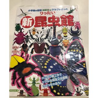 ショウガクカン(小学館)の新・りったい昆虫館(絵本/児童書)