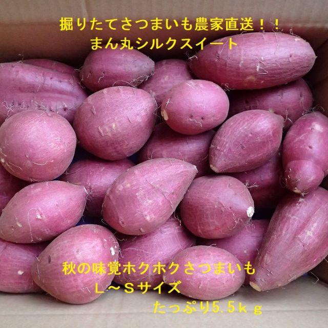 掘りたてシルクスイート5.5kg【丸Ｌ～Ｓ】しっとり甘い！千葉成田産さつまいも 食品/飲料/酒の食品(野菜)の商品写真