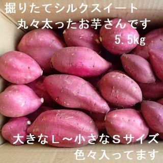 掘りたてシルクスイート5.5kg【丸Ｌ～Ｓ】しっとり甘い！さつまいも農家直送(野菜)