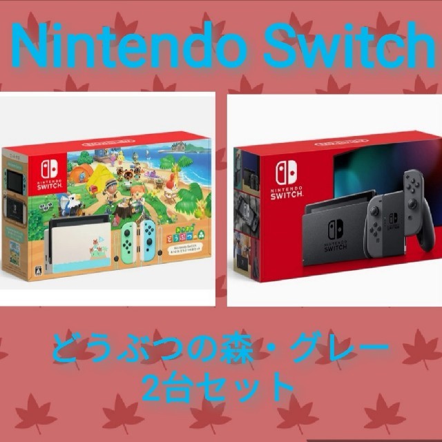 1個Joy-Conストラップ即日発送可★新品★ニンテンドースイッチ 本体 グレー