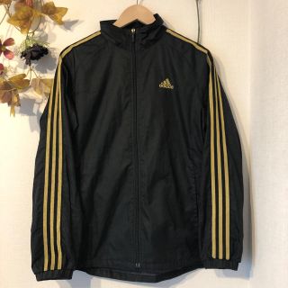 アディダス(adidas)のadidas ウィンドブレーカー 金ロゴ(ナイロンジャケット)