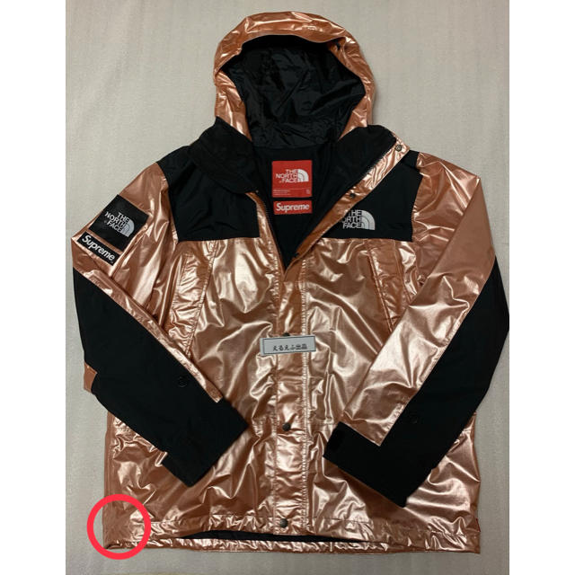 Supreme The North Face Metallic Parka