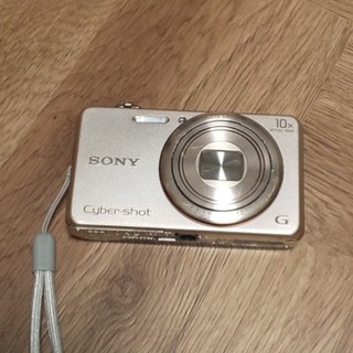 SONY DSCWX200  ゴールド デジタルカメラ本体のみ(コンパクトデジタルカメラ)