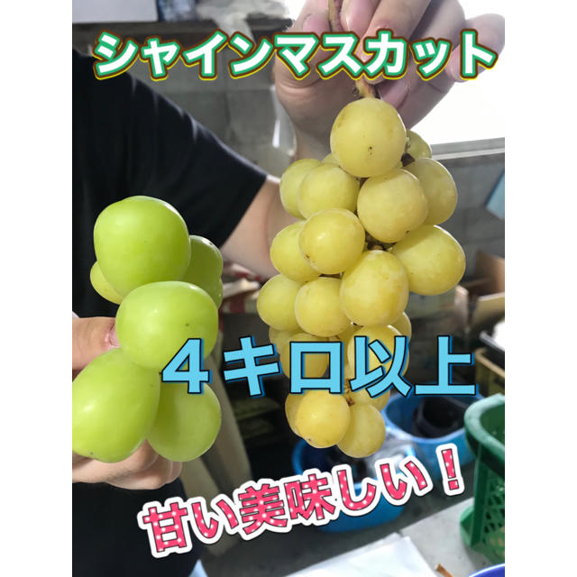 シャインマスカット ４キロ セール！ 長野県産 減農薬 送料無料 - フルーツ