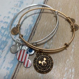 ディズニー(Disney)のAlex and ani Disney ディズニーカルフォルニア限定　ミッキー (ブレスレット/バングル)