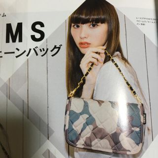 ビームス(BEAMS)のSWEET☆6月号付録 BEAMS(ショルダーバッグ)