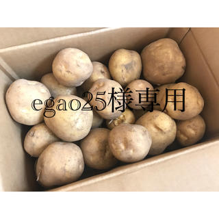 egao25様専用 とうや10㎏(野菜)