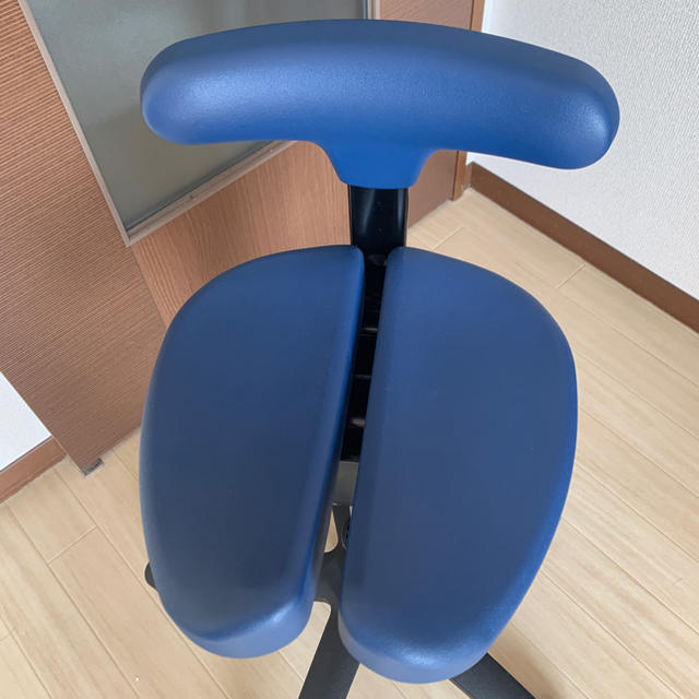 mn様専用】 ayur chair アーユルチェア オクトパス ブルー mn様専用】 ayur chair アーユルチェア オクトパス ブルー
