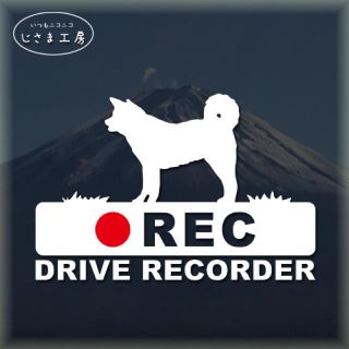  秋田犬の白色ステッカー後方注意‼『︎DRIVE RECORDER』(ステッカー)