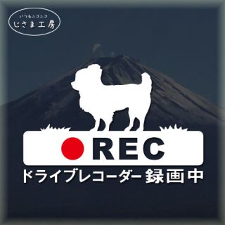 ロングコートチワワの白色ステッカー煽り運転防止‼︎ドライブレコーダー録画中。(セキュリティ)