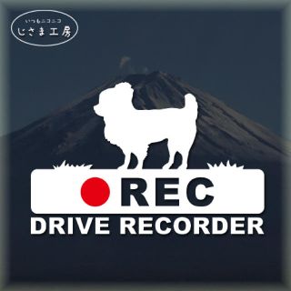  ロングコートチワワの白色ステッカー後方注意‼『︎DRIVE RECORDER』(ステッカー)