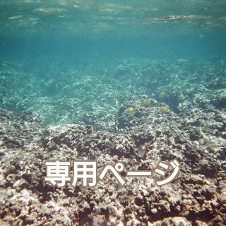 rinnai様 専用ページ