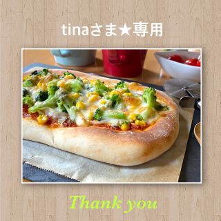 tina様★専用　300円☆ ピアス NO.16 イヤリング 可能(ピアス)