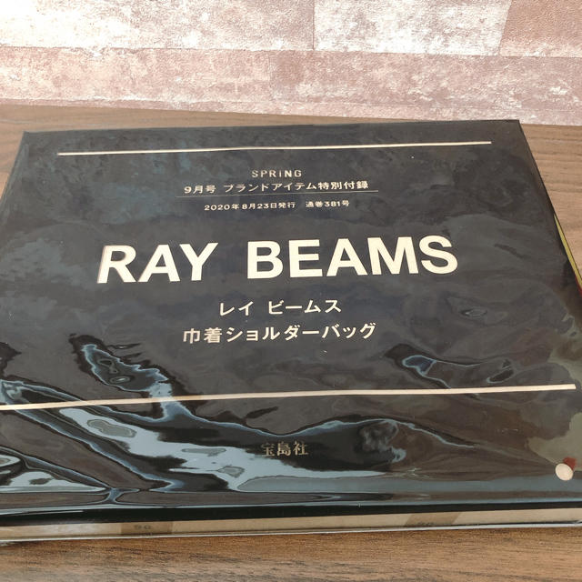 Ray BEAMS(レイビームス)のレイビームス 巾着ショルダーバッグ spring 付録 レディースのバッグ(ショルダーバッグ)の商品写真