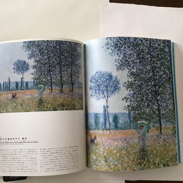 絵画book -monet エンタメ/ホビーの美術品/アンティーク(絵画/タペストリー)の商品写真