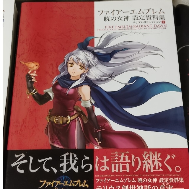 得価 任天堂   ファイアーエムブレム蒼炎の軌跡·暁の女神設定資料