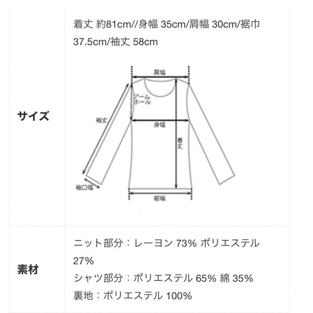 ZARA(ザラ)のbasement online レイヤード風トップス　GREIGE  レディースのトップス(シャツ/ブラウス(長袖/七分))の商品写真